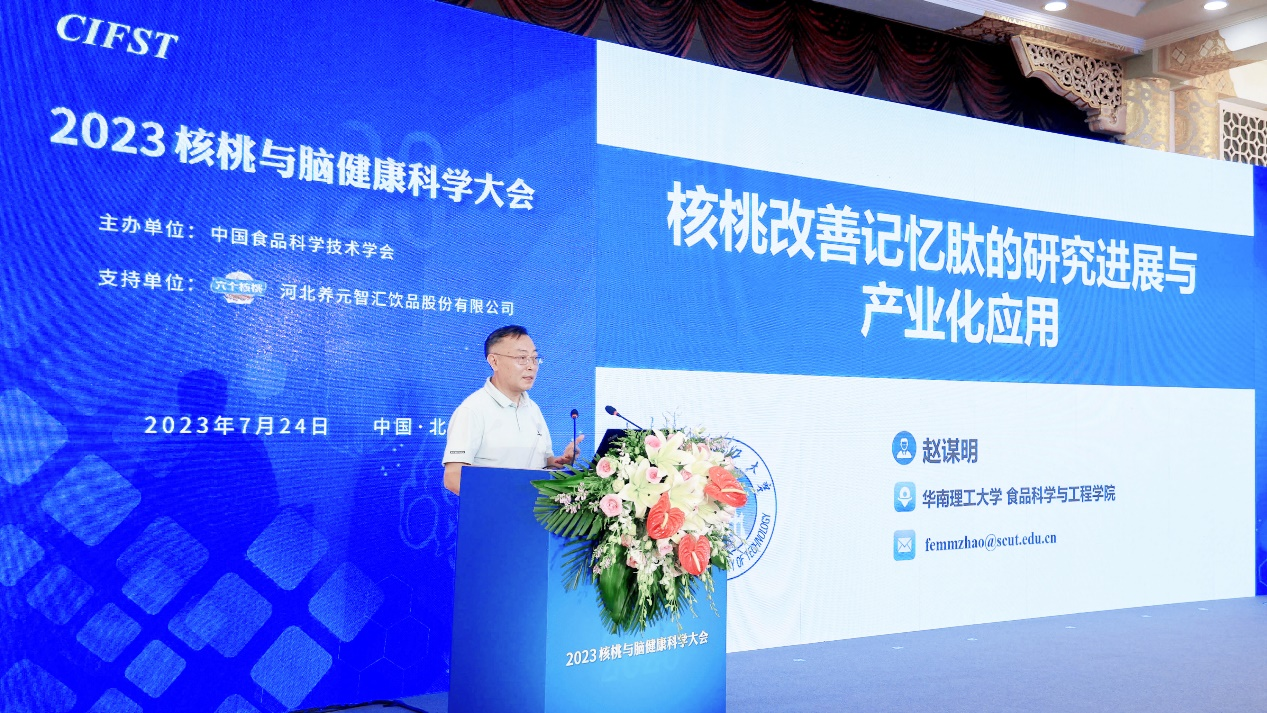 首届核桃与脑健康科学大会引行业关注,六个核桃“核桃健脑”被科学证实